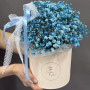 7 голубых гипсофил в коробке — вид 4